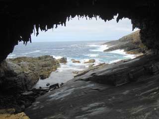 Un mes en Australia - Blogs de Australia - Adelaida y Kangaroo Island (7)